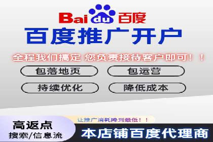 百度竞价SEM深度解析：某行业成功推广经验